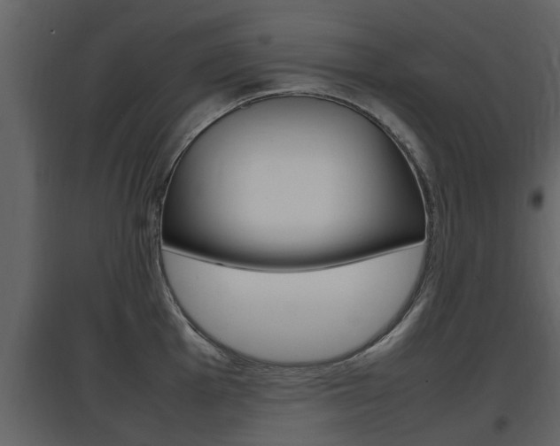 X0000097841001200803140830