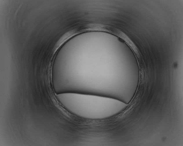 X0000097841002200803140830