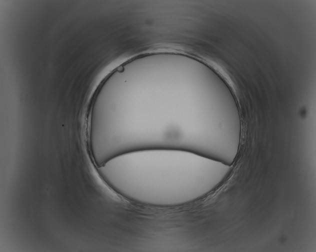 X0000097841003200803140830