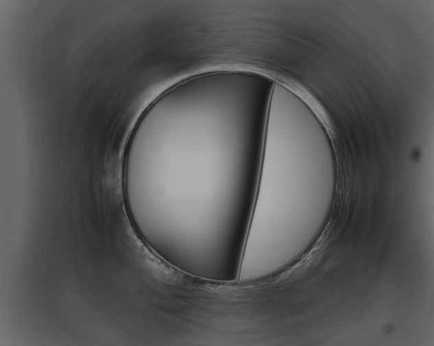X0000097841004200803140830
