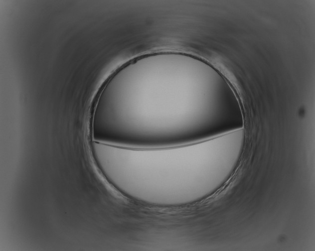 X0000097841005200803140830