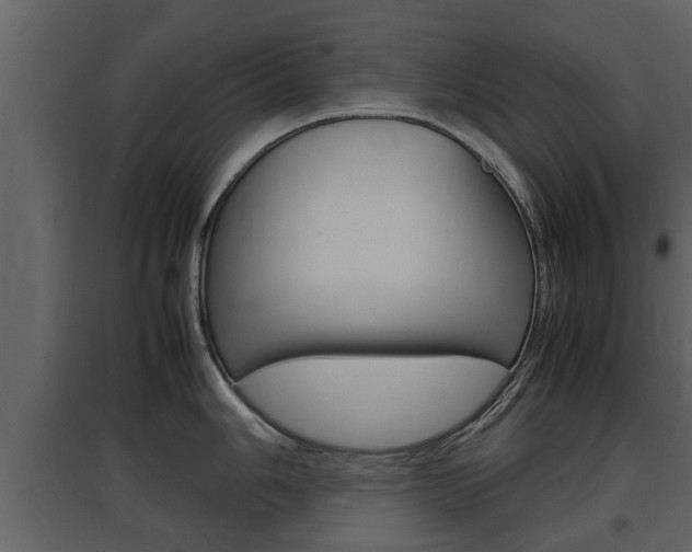X0000097841006200803140830