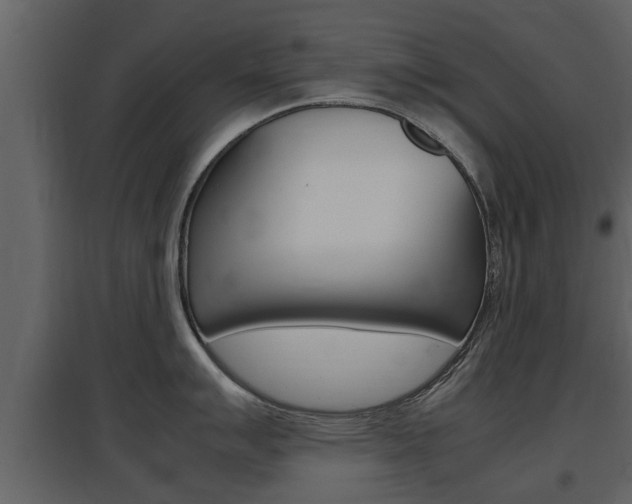 X0000097841007200803140830