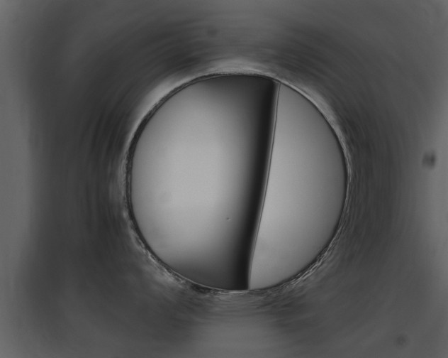 X0000097841008200803140830