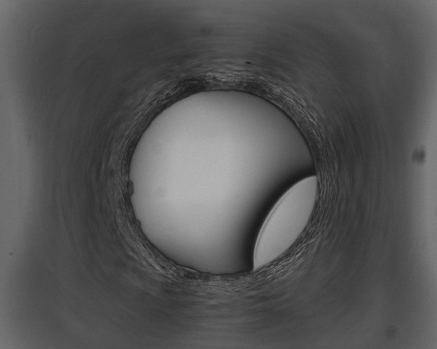 X0000097841009200803140830