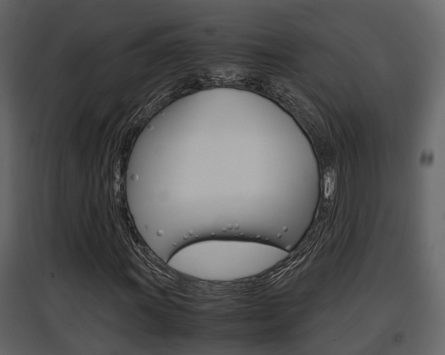 X0000097841011200803140830