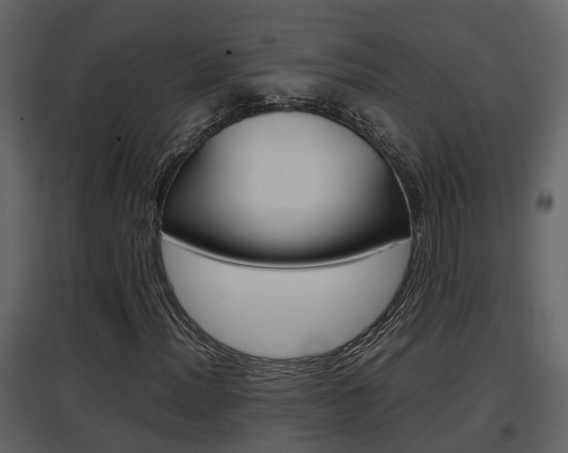 X0000097841012200803140830