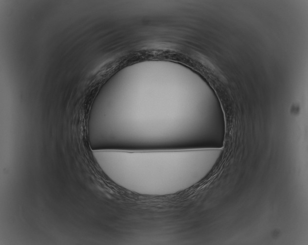 X0000097841014200803140830