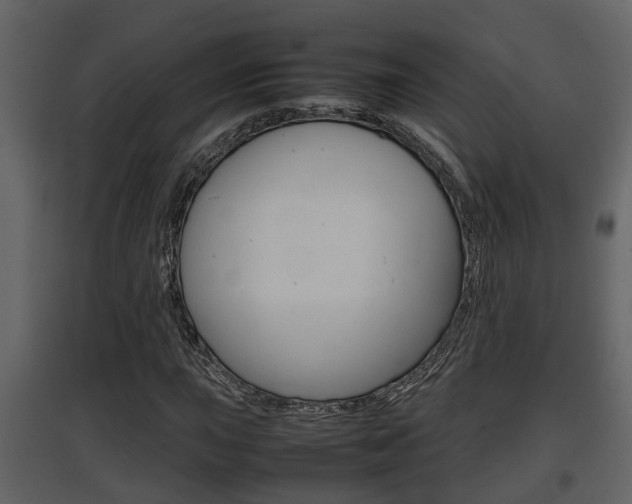 X0000097841015200803140830