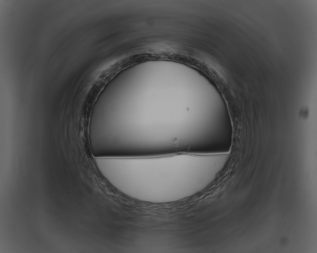 X0000097841016200803140830