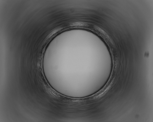 X0000097841017200803140830