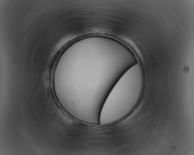 X0000097841019200803140830