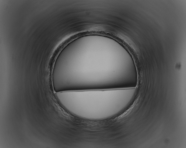 X0000097841021200803140830