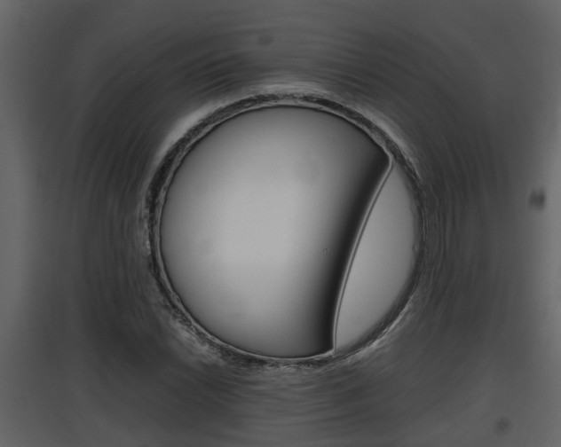 X0000097841022200803140830