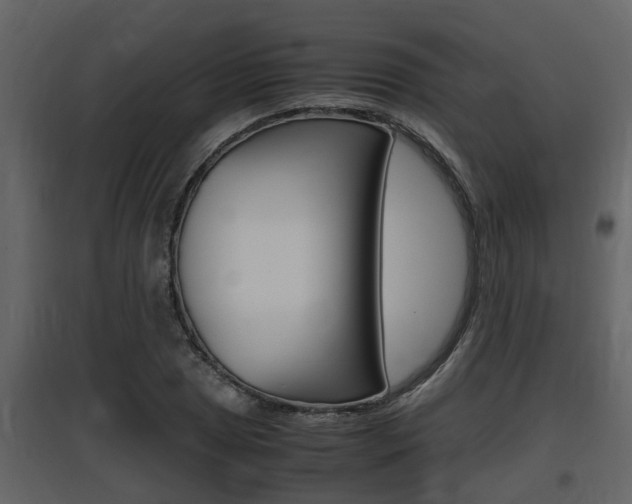 X0000097841025200803140830
