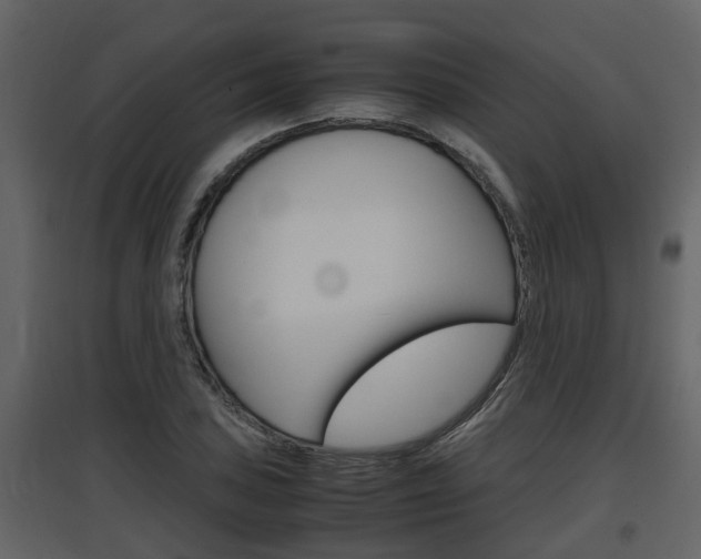 X0000097841027200803140830