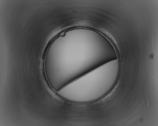 X0000097841029200803140830
