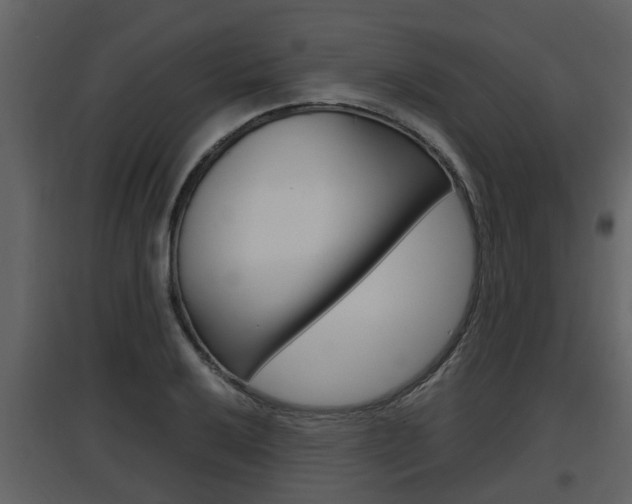 X0000097841032200803140830
