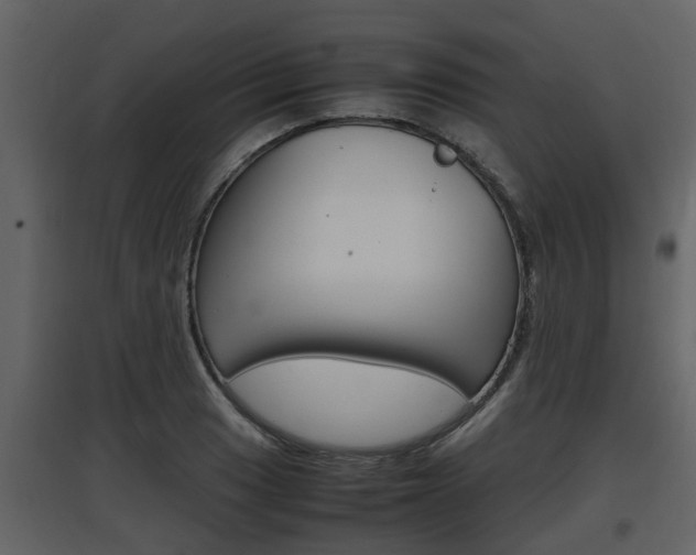 X0000097841033200803140830