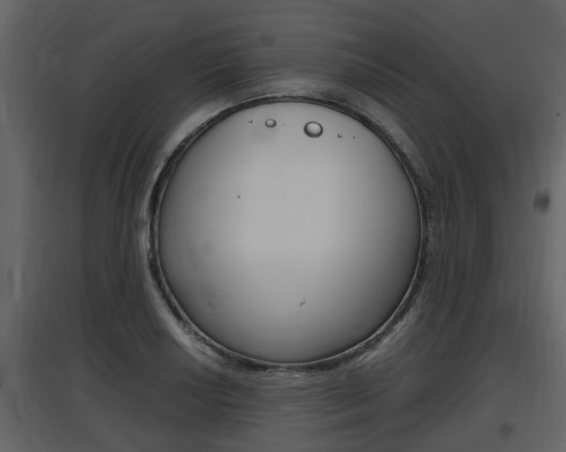 X0000097841034200803140830