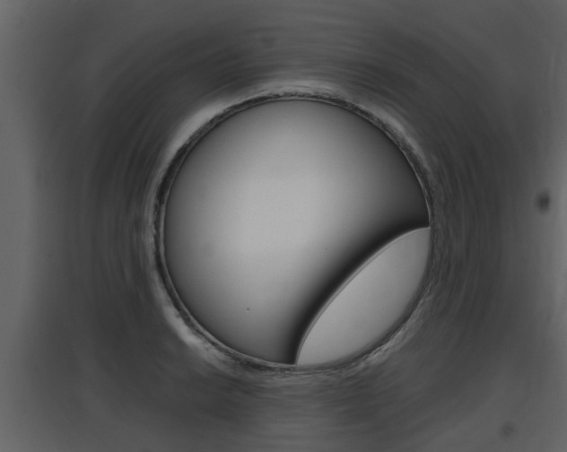 X0000097841038200803140830