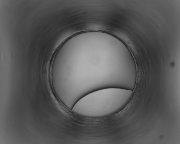 X0000097841039200803140830