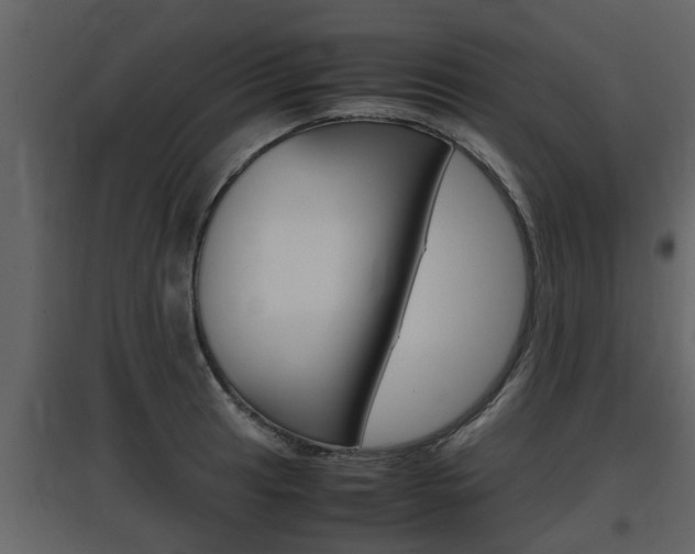 X0000097841041200803140830