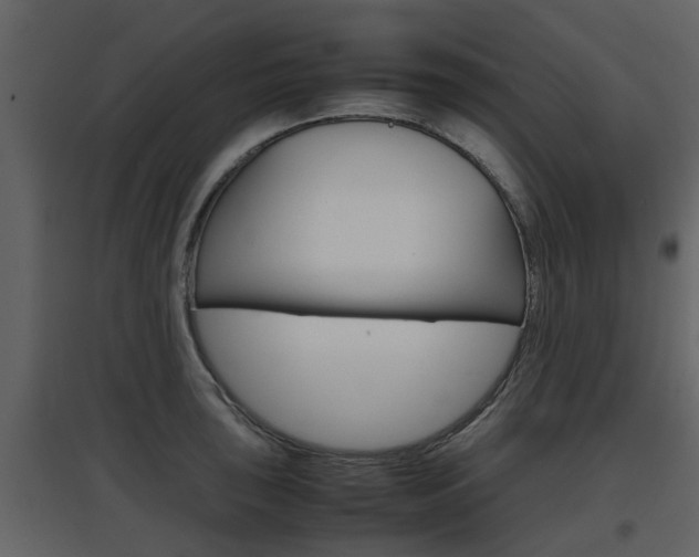 X0000097841043200803140830