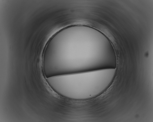 X0000097841044200803140830