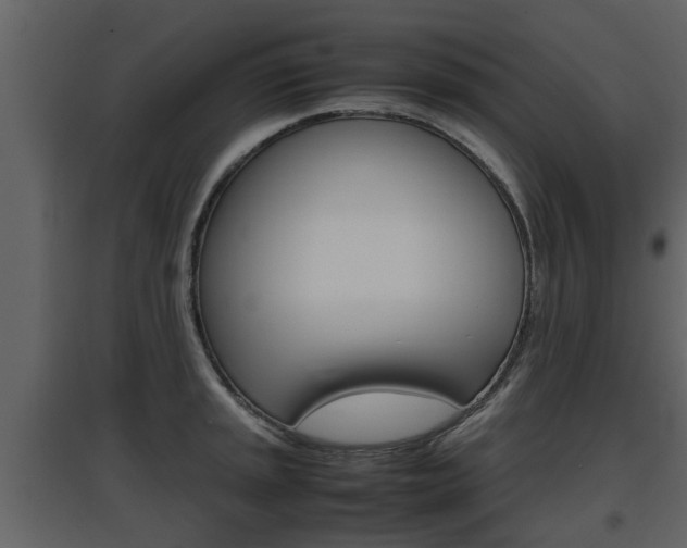 X0000097841045200803140830