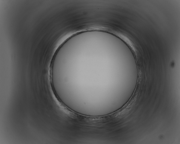 X0000097841047200803140830