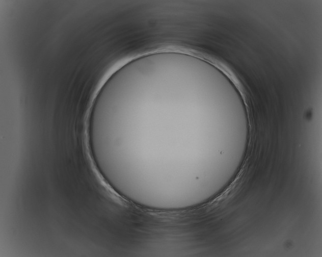 X0000097841048200803140830