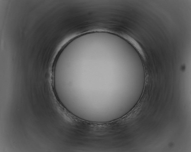 X0000097841051200803140830