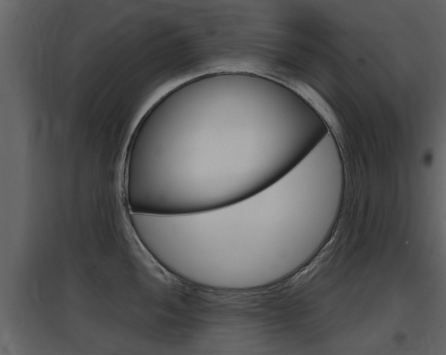 X0000097841052200803140830