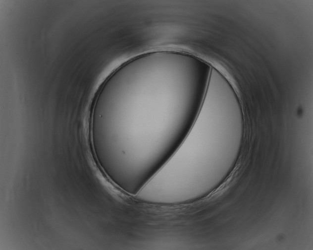 X0000097841054200803140830