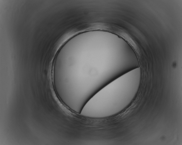 X0000097841055200803140830