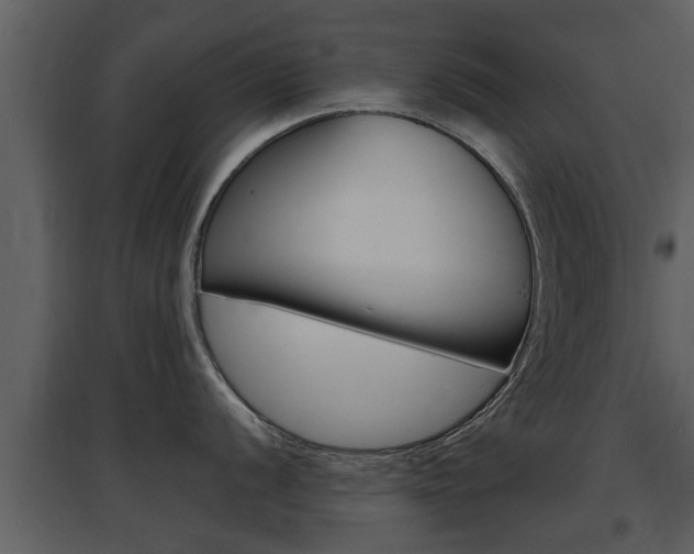 X0000097841056200803140830