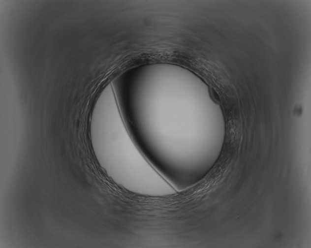 X0000097841057200803140830