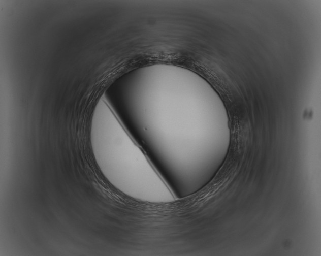 X0000097841058200803140830