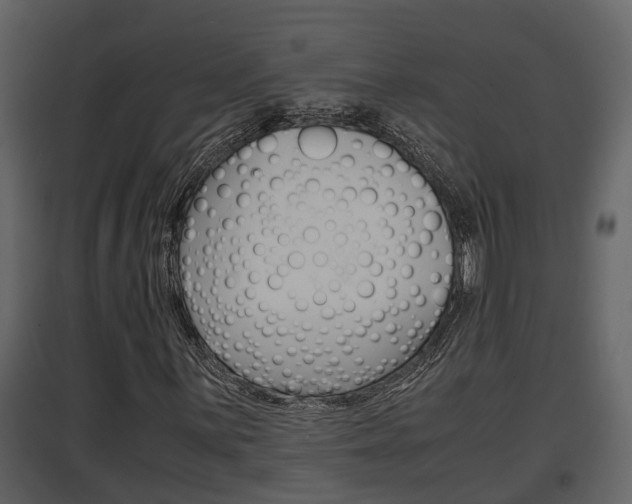 X0000097841059200803140830