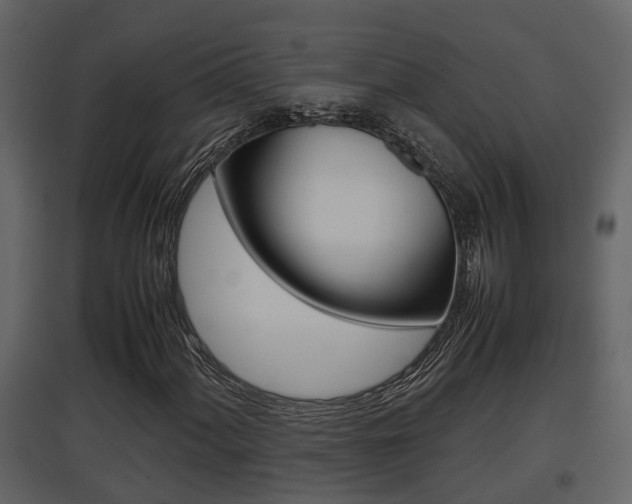 X0000097841060200803140830