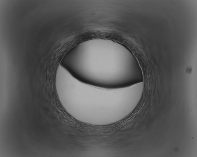 X0000097841061200803140830