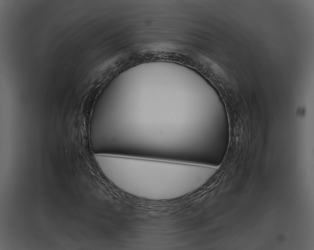 X0000097841062200803140830