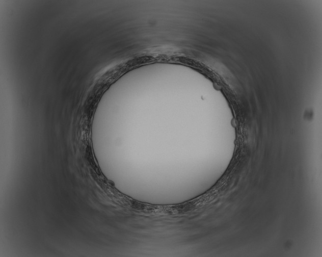X0000097841063200803140830