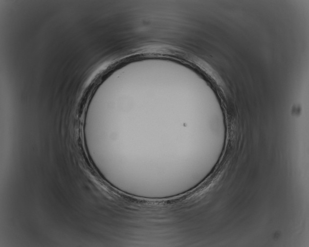 X0000097841067200803140830