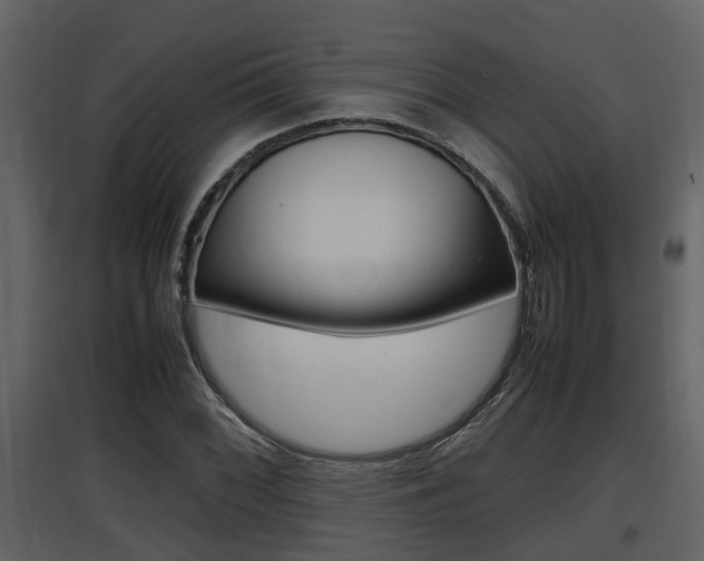 X0000097841068200803140830