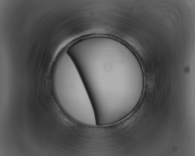 X0000097841070200803140830