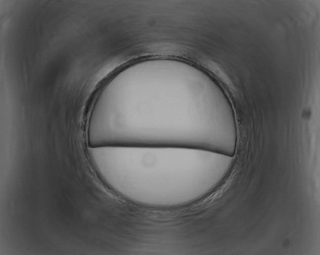 X0000097841071200803140830