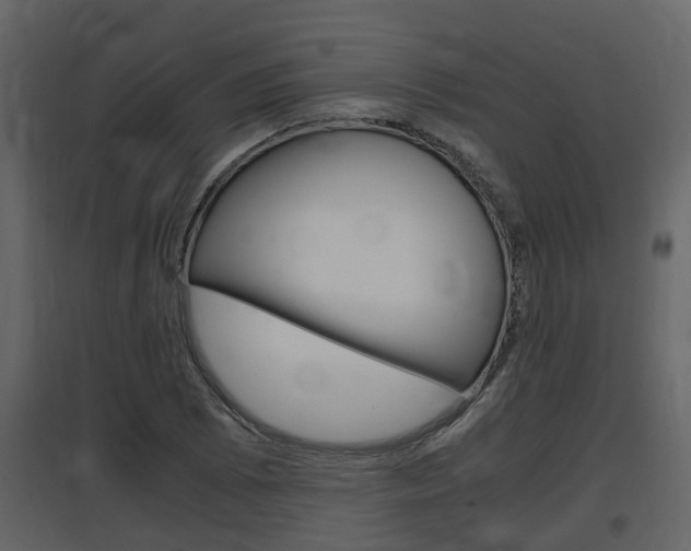 X0000097841073200803140829