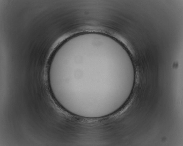 X0000097841074200803140829